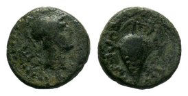 Cilicia. Soloi 350-300 BC. Bronze Æ 


Condition: Very Fine

Weight: 2.41 gr
Diameter: 14 mm