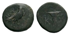 Aeolis. Kyme 190 BC. 


Condition: Very Fine

Weight: 3.61 gr 
Diameter: 17 mm