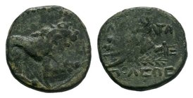 COMMAGENE, Samosata. Mid 1st century BC. Æ

Condition: Very Fine

Weight: 4.12 gr
Diameter: 19 mm