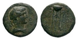 Seleukid Kingdom. Sardeis. Antiochos III Megas 223-187 BC.


Condition: Very Fine

Weight: 2.23 gr
Diameter: 14 mm