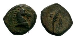 PONTOS, Uncertain. Circa 130-100 BC. Æ


Condition: Very Fine

Weight: 2.77 gr
Diameter: 13 mm