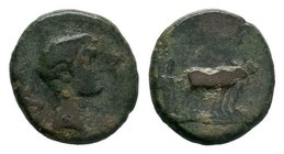 Macedonia - Augustus (27 BC-AD 14), Philippi (?), AE,

Condition: Very Fine

Weight: 4.86 gr
Diameter: 19 mm