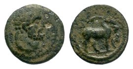 LYDIA. Hierocaesaraea. Pseudo-autonomous. Ae (1st-2nd centuries AD).

Condition: Very Fine

Weight: 2.22 gr
Diameter: 15 mm