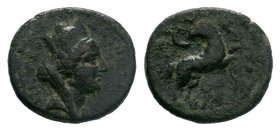 SYRIA. Seleucis and Pieria. Antioch. Pseudo-autonomous. Time of Hadrian (117-138 BC).

Condition: Very Fine

Weight: 3.02 gr
Diameter: 18 mm