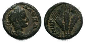 CAPPADOCIA. Caesarea. Severus Alexander (222-235) Ae.

Condition: Very Fine

Weight: 5.40 gr
Diameter: 18 mm