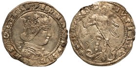 NAPOLI.
 Ferdinando I (1458-1494) - Coronato. Busto coronato a d.; dietro sigla T. R/ L'Arcangelo Michele trafigge il drago.
 Cag. E/159V.
 MIR. 69...