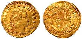 NAPOLI.
Filippo IV (1621-1665) - Scudo d'oro. Testa giovanile a d.; dietro la testa le sigle M/C/C e sotto 1°°°
R/ Stemma coronato in cartella ornat...