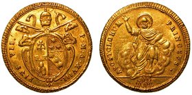 PIO VII (1800-1809). Doppia A.XVIII. Stemma sormontato da chiavi decussate e tiara. R/ S. Pietro benedicente sulle nubi.
Gig. 14.
Rara
 g. 5,45
or...