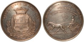 R. CITTA' DI TREVISO-Premio corsa dei sedioli - Medaglia anno 1855.
Opus: A. Fabris ,
diam. 61.
Lieve lucidatura
argento