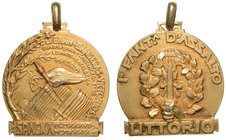 I° FANTERIA D'ASSALTO LITTORIO - SPAGNA
- Medaglia anni XVI 1937-XVIII 1939., Cat. Tab. 90 pag. 78, dim. 31x31
argento