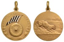 BATTAGLIONE NEBRI' XVII ERITREO - Medaglia anno I 1922-II 1923.
Opus: S.J. , Cat. Rom.-Zor. 96a, diam. 28