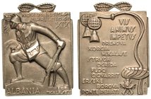 ALBANIA
- Medaglia anno XVIII 1940 - XIX 1941., dim. 26x30 argento
La medaglia commemora i Bersaglieri, la campagna di Grecia e la difesa sul Kalase...
