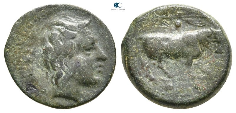 Sicily. Gela circa 420-405 BC. 
Tetras Æ

17 mm., 3,38 g.



nearly very ...