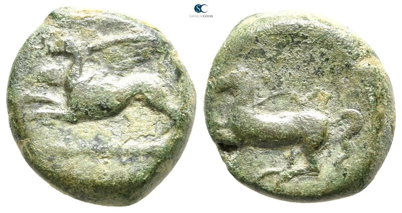 Sicily. Kainon circa 365-360 BC. 
Bronze Æ

19 mm., 7,24 g.



very fine