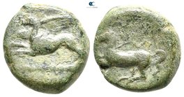 Sicily. Kainon circa 365-360 BC. Bronze Æ