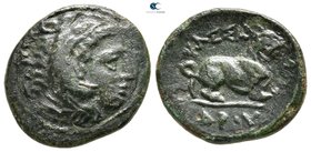 Kings of Macedon. Pella or Amphipolis. Kassander circa 306-297 BC. Bronze Æ