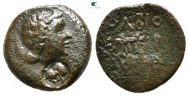 Scythia. Olbia 300-250 BC. Bronze Æ