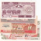 Mix Lot, 4 banknotes in whole UNC condition
Malawi 5 Kwacha, Malawi 5 Kwacha, Soomaali 5 Shillings, Somaliland 20 Shillings
Estimate: 20.-40