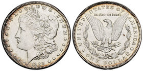 United States. 1 dollar. 1889. Philadelphia. (Km-110). Ag. 26,70 g. Cleaning hairlines. Almost XF. Est...25,00.