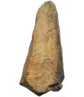 PREHISTORIA. Hendedor paleolítico. Período Achelense. Cuarcita. Altura 18 cm.