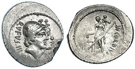 CORDIA. Denario. Roma (46 a.C.). R/ Venus con balanza, cetro y Cupido; detrás MN. CORDIVS. FFC-602. SB-1. Hoja y leves vanos. MBC+.