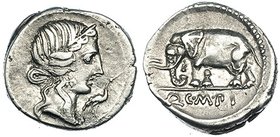 CAECILIA. Denario. Hispania (81 a.C.). / Cabeza de Pietas a der., delante cigüeña. R/ Elefante a izq., en exergo Q. C. M. P. I. CRAW-374.1. FFC-213. S...
