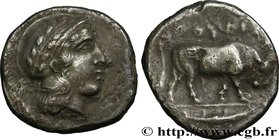 LUCANIA - THOURIOI
Type : Nomos, statère ou didrachme 
Date : c. 443-400 AC. 
Mint name / Town : Thurium, Lucanie 
Metal : silver 
Diameter : 22,...