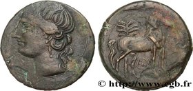 ZEUGITANA - CARTHAGE
Type : Triple shekel 
Date : c. 220-215 AC. 
Mint name / Town : Carthage, Zeugitane 
Metal : copper 
Diameter : 30,5 mm
Ori...