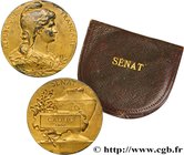 III REPUBLIC
Type : Médaille d’élection au Sénat 
Date : 1900 
Mint name / Town : 75 - Paris 
Metal : gold plated silver 
Diameter : 50 mm
Engra...