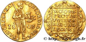 NETHERLANDS - BATAVIAN REPUBLIC
Type : Ducat d'or au chevalier, 1er type 
Date : 1805 
Mint name / Town : Utrecht 
Quantity minted : - 
Metal : g...
