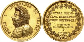 Pierre I, 1822-1831. 
Médaille en or commémorant l'inauguration de l'Académie des beaux-arts en 1826, par Ferrez. Buste à gauche. Nom du graveur au-d...