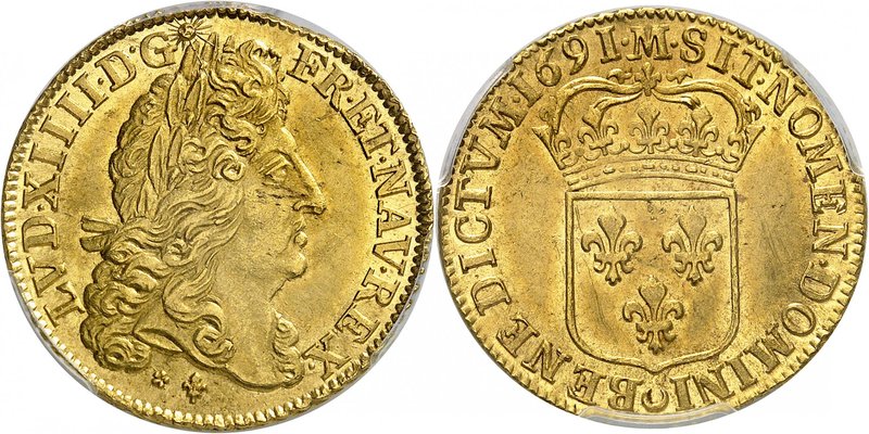 Royaume de France
Louis XIV, 1643-1715. 
Double Louis d'or à l'écu 1691 M, Tou...