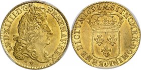 Royaume de France
Louis XIV, 1643-1715. 
Double Louis d'or à l'écu 1691 M, Toulouse. Tête laurée à droite / Ecu de France couronné. Tranche striée o...