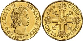 Royaume de France
Louis XIV, 1643-1715. 
Louis d'or à la mèche courte 1644 D, Lyon. Tête laurée à droite. Date au-dessous / Croix formée de huit L c...