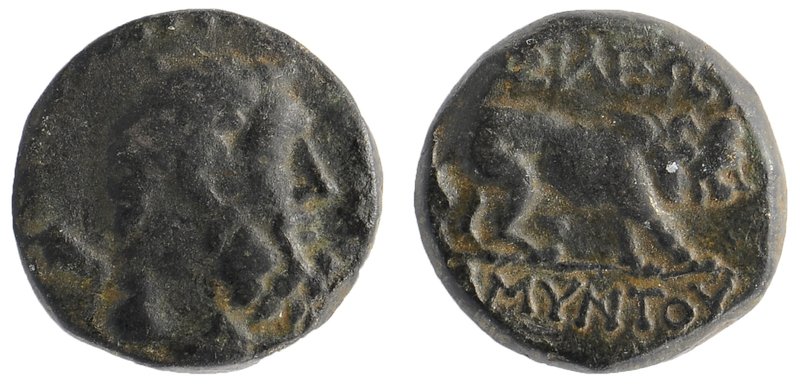 Kinngs of Galatia. Amyntas (36-25 BC). Ae
Bearded head of Herakles right, with ...
