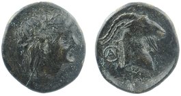AEOLIS. Aegae. Ae (Circa 300-200 BC).
Laureate head of Apollo right.
AIΓAE/Head of goat right.
SNG Copenhagen 1.
4,27 gr. 19 mm.