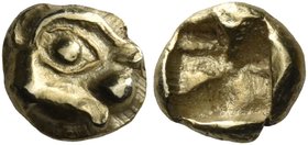 IONIA. Phokaia. Circa 625/0-522 BC. One twenty-fourth stater (Electrum, 6.5 mm, 0.53 g). Head of seal (or a calf?) to right, with a very large eye and...