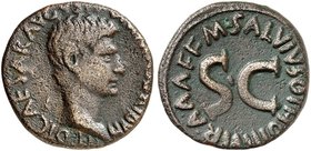 RÖMISCHE MÜNZEN. RÖMISCHE KAISERZEIT. Augustus, 27 v. Chr. - 14 n. Chr. As, Mzm. M. Salvius Otho. Rev. SC in Umschrift.
RIC 431 8,62 g f. ss / ss