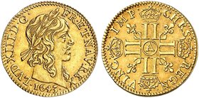 EUROPA. FRANKREICH. Louis XIII., 1610-1643. 1/2 Louis d'or 1643, A - Paris.
Friedb. 411, Dupl. 1299, Gad. 57 Gold ss - vz