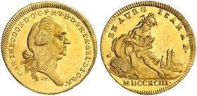 BAYERN. Karl Theodor, 1777-1799. Isargolddukat 1793.
Friedb. 252, Witt. 2342, Hahn 355 Gold, RRR ! f. St
