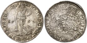BRAUNSCHWEIG - WOLFENBÜTTEL. Heinrich Julius, 1589-1613. Taler 1594, Goslar.
Dav. 9075, Welter 637 ss+