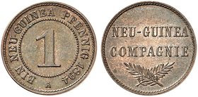 DEUTSCH - NEU - GUINEA. J. 701, EPA DNG 1. 1 Pfennig 1894 A.
vz