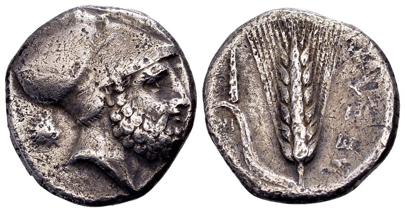 Lucania, Metapontion 
Ca. 340-330 BC. AR stater, 7.53 gr. Helmeted head of Leuk...