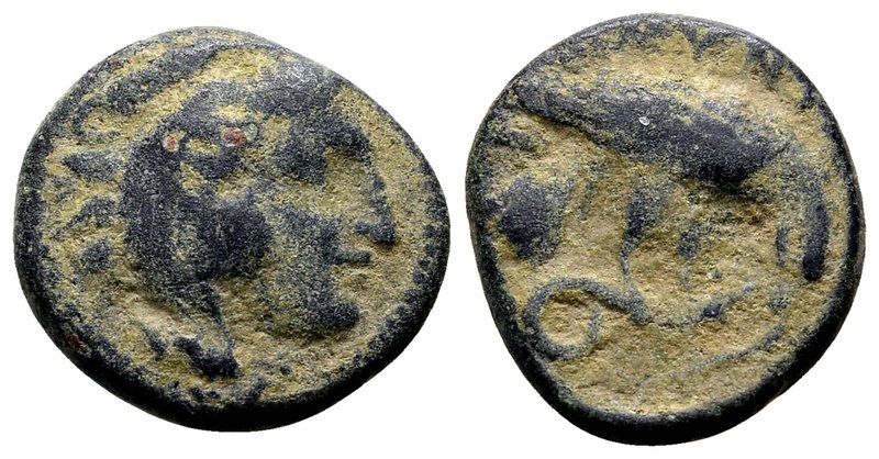 Macedon, Pydna. 
Ca. 381-369 BC. Æs, 4.12 g. Head of young Herakles right, wear...