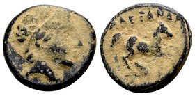 Kingdom of Macedon, Alexander III. 
Uncertain mint in Macedon, 336-323 BC. Æ 15, 4.33 g. Head of Apollo right / ΑΛEΞΑΝΔΡΟΥ horse prancing righ; below...