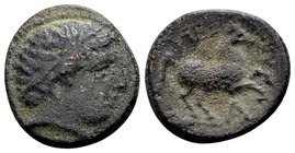 Kingdom of Macedon, Alexander III. 
Uncertain mint in Macedon, 336-323 BC. Æ 15, 3.28 g. Head of Apollo right / ΑΛEΞΑΝΔΡΟΥ horse prancing righ; below...