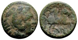 Kingdom of Macedon, Kassander. 
Uncertain mint in Macedon, 305-297 BC. Æ17, 5 g. Head of Herakles wearing lion skin right / BAΣIΛEΩΣ KAΣΣANΔPOY youth...