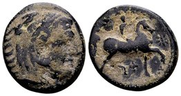 Kingdom of Macedon, Kassander. 
Uncertain mint in Macedon, 305-297 BC. Æ17, 5.77 g. Head of Herakles wearing lion skin right / BAΣIΛEΩΣ KAΣΣANΔPOY yo...