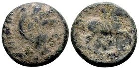 Kingdom of Macedon, Kassander. 
Uncertain mint in Macedon, 305-297 BC. Æ17, 5.71 g. Head of Herakles wearing lion skin right / BAΣIΛEΩΣ KAΣΣANΔPOY yo...