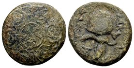 Kingdom of Macedon, Philip V-Perseus. 
Uncertain mint in Macedon, ca. 221-168 BC. Æ 17, 5.6 g. Macedonian shield, star with spiral arms in center bos...